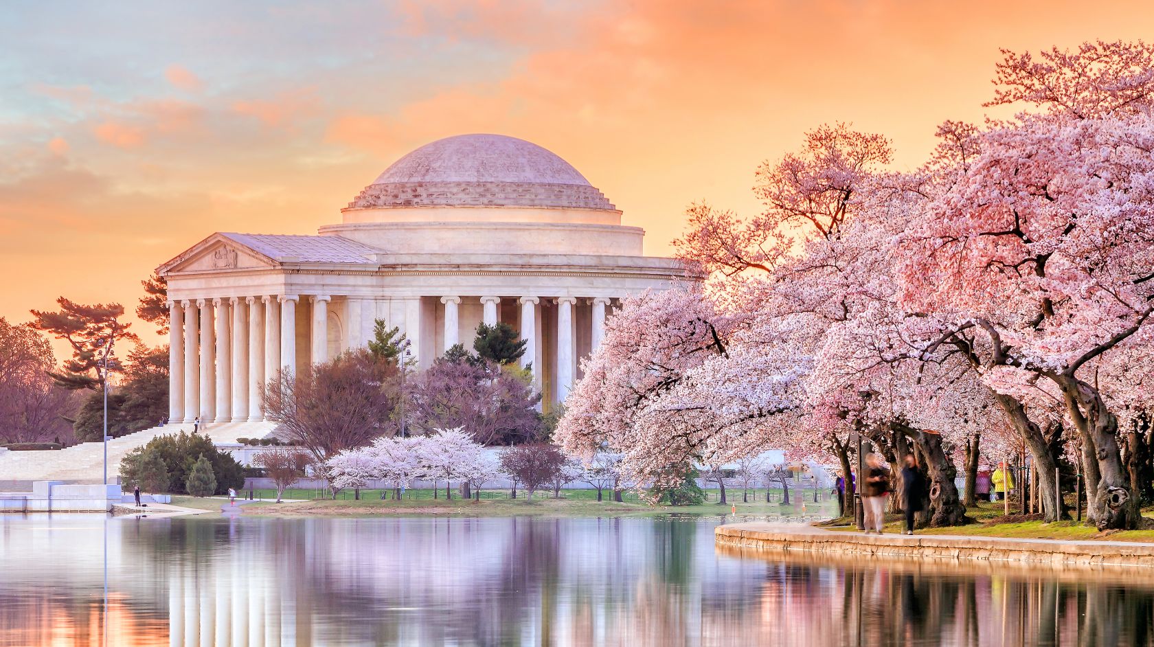 Jefferson Memorial at sunset surrounded by cherry blossoms